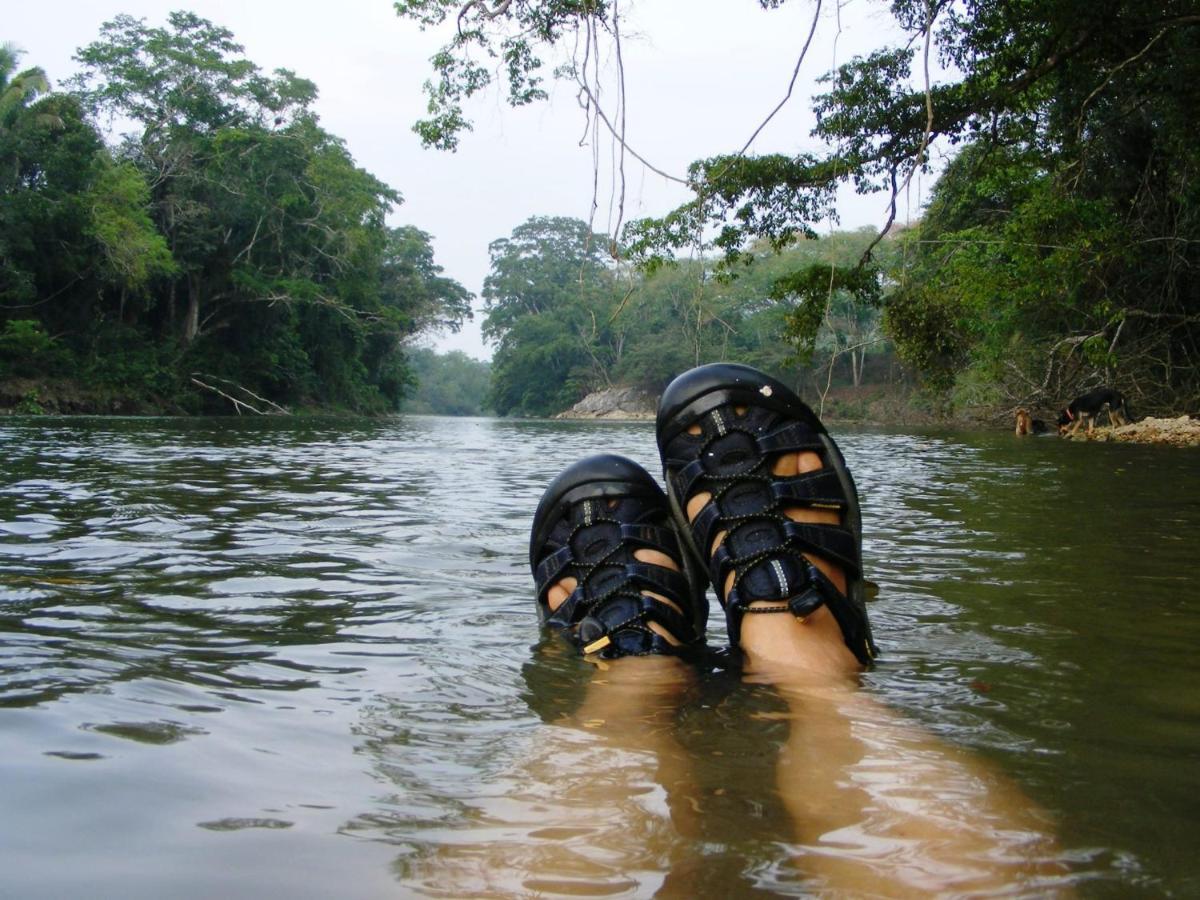 Lower Dover Jungle Lodge & Maya Ruins Unitedville Экстерьер фото
